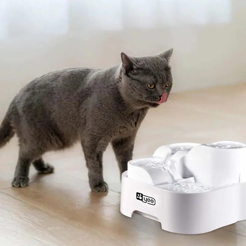 Pet Water Fountain With Filtration System by Love My Pet