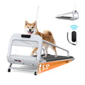 2025 New Quiet Smart Pet Treadmill, Adjustable Speed, Perfect For Small Medium Dogs by Amazing Pet Bargains