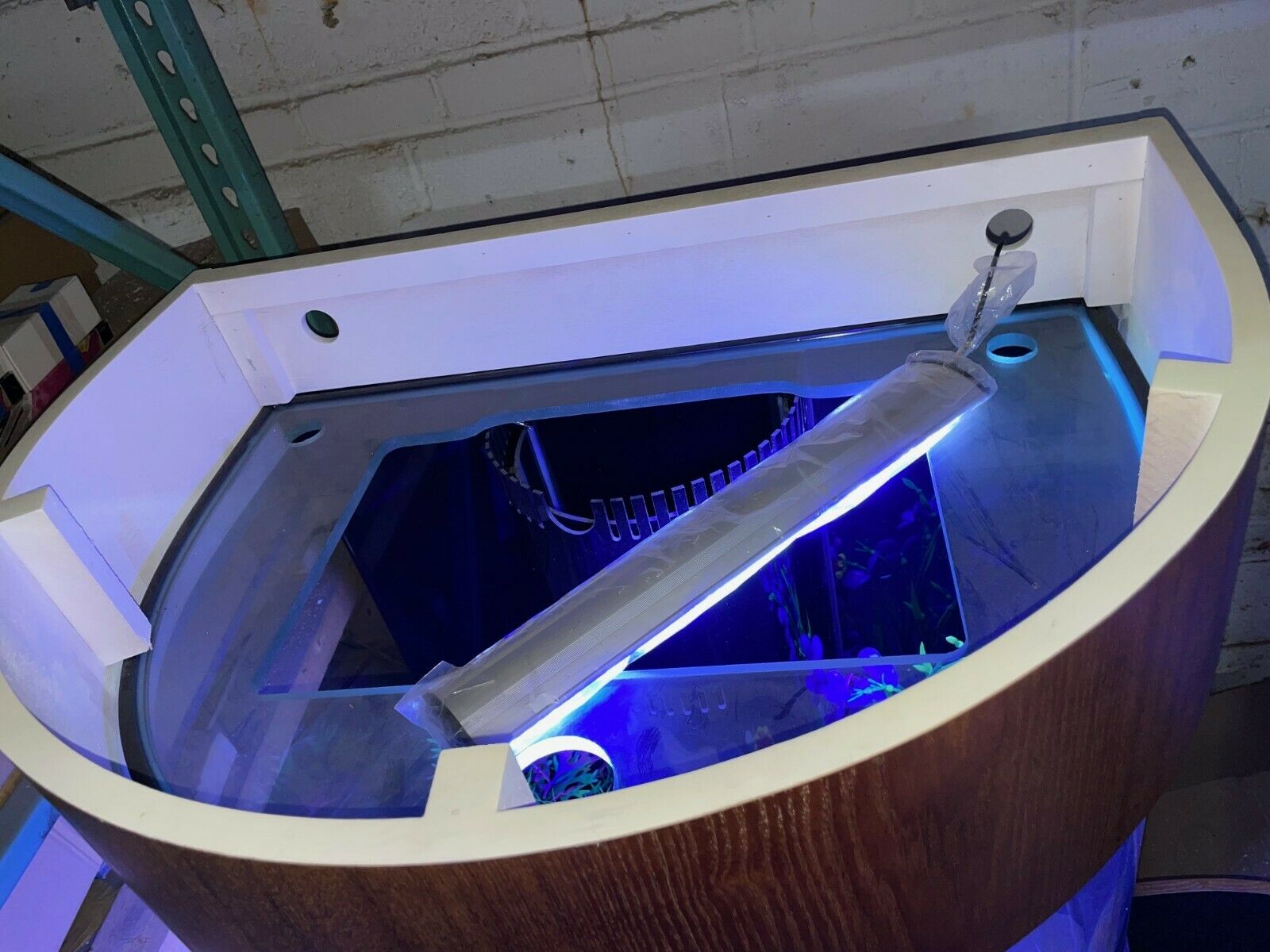 60 Gallon Half Round (Flat Sides) Reef-Ready Aquarium with Stand, Deep Oak by Northeast Aquariums LLC