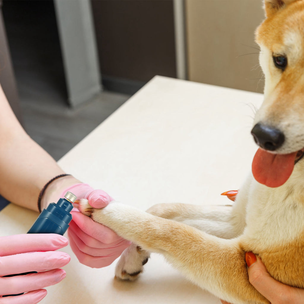 USB Rechargeable Pet Nail Grinder and Trimmer by Amazing Pet Bargains