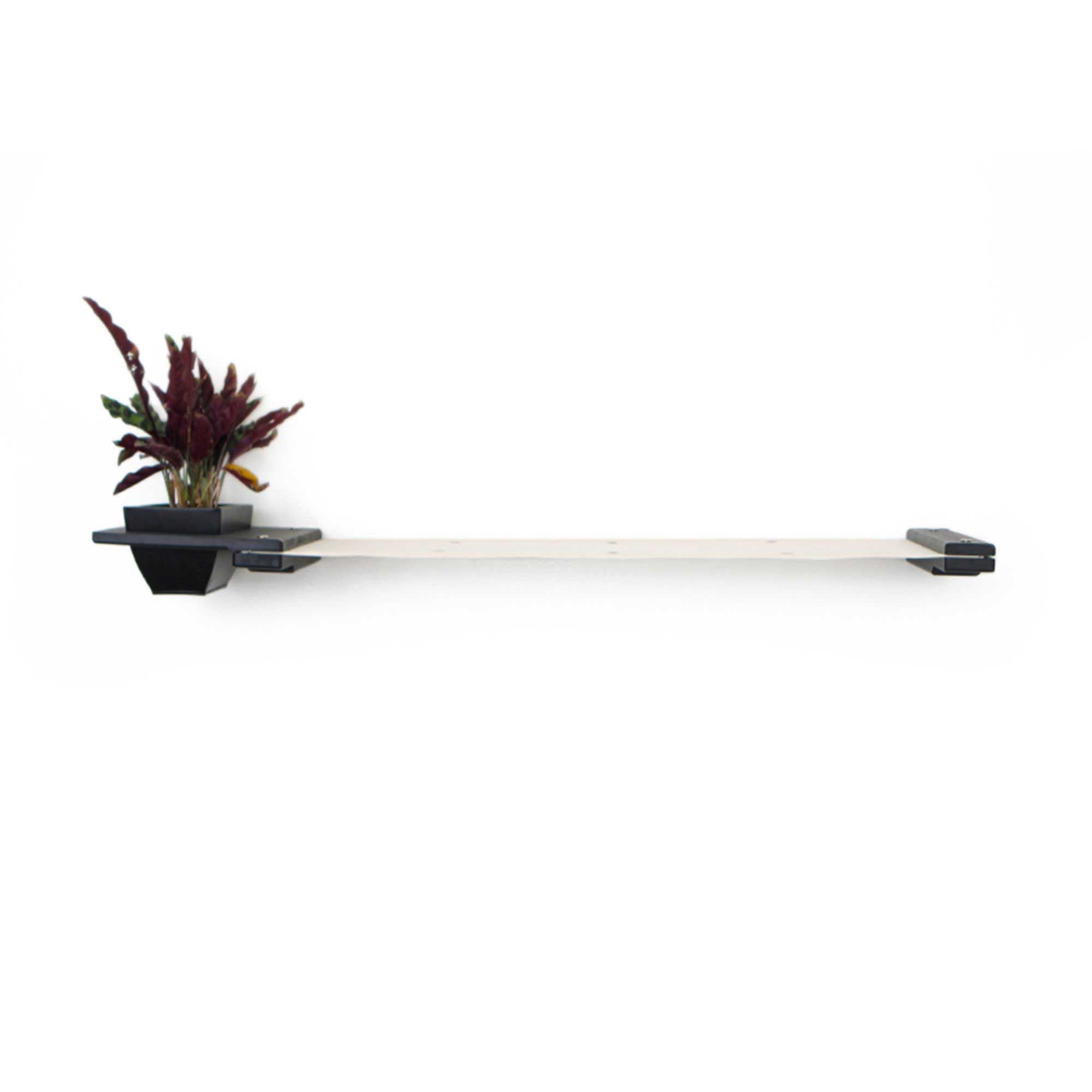 Cat Hammock Wall with Planter by Catastrophic Creations