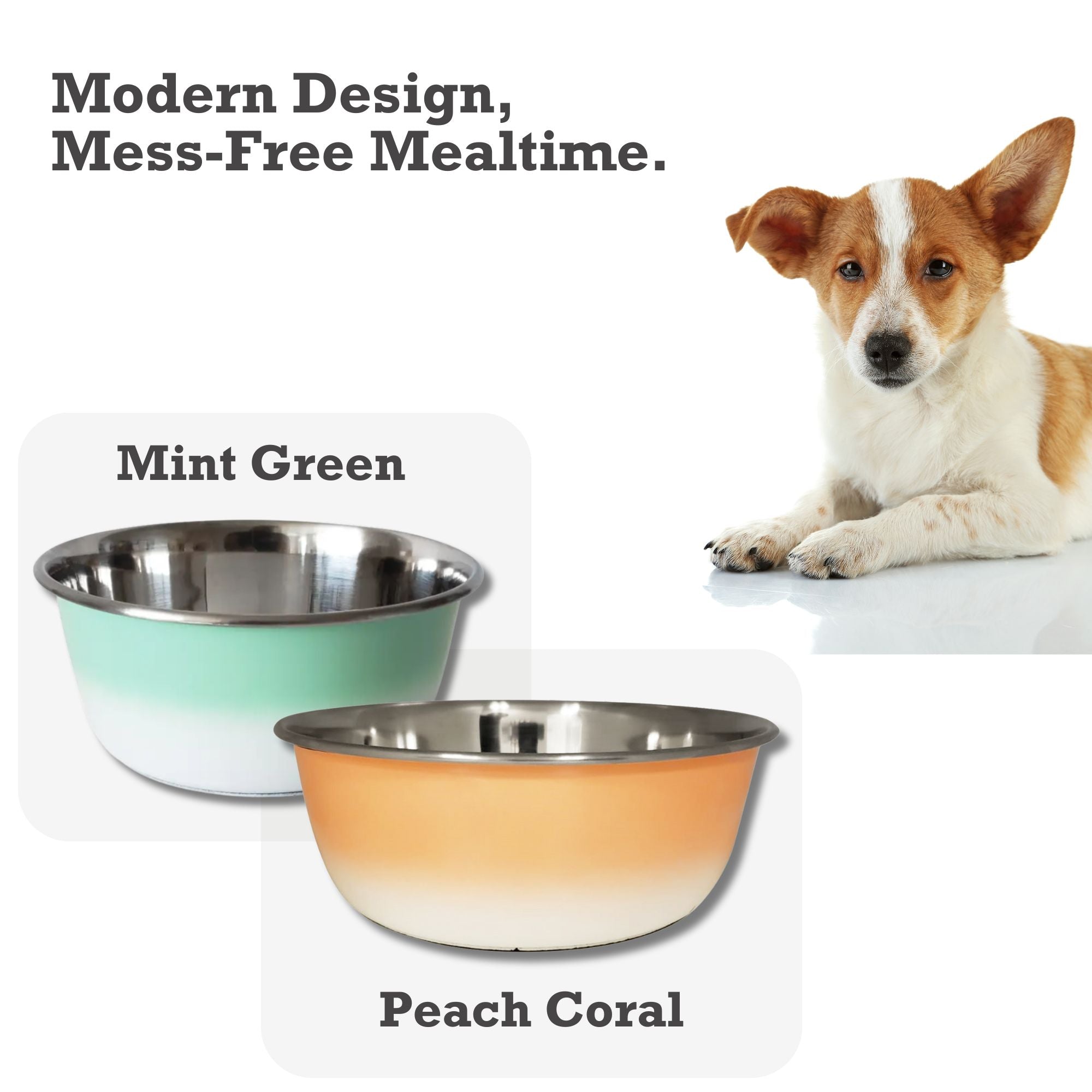 Deep Dog Bowl – Stainless Steel Bowl, Ideal for Small, Medium & Large Dogs – Mint Green by American Pet Supplies