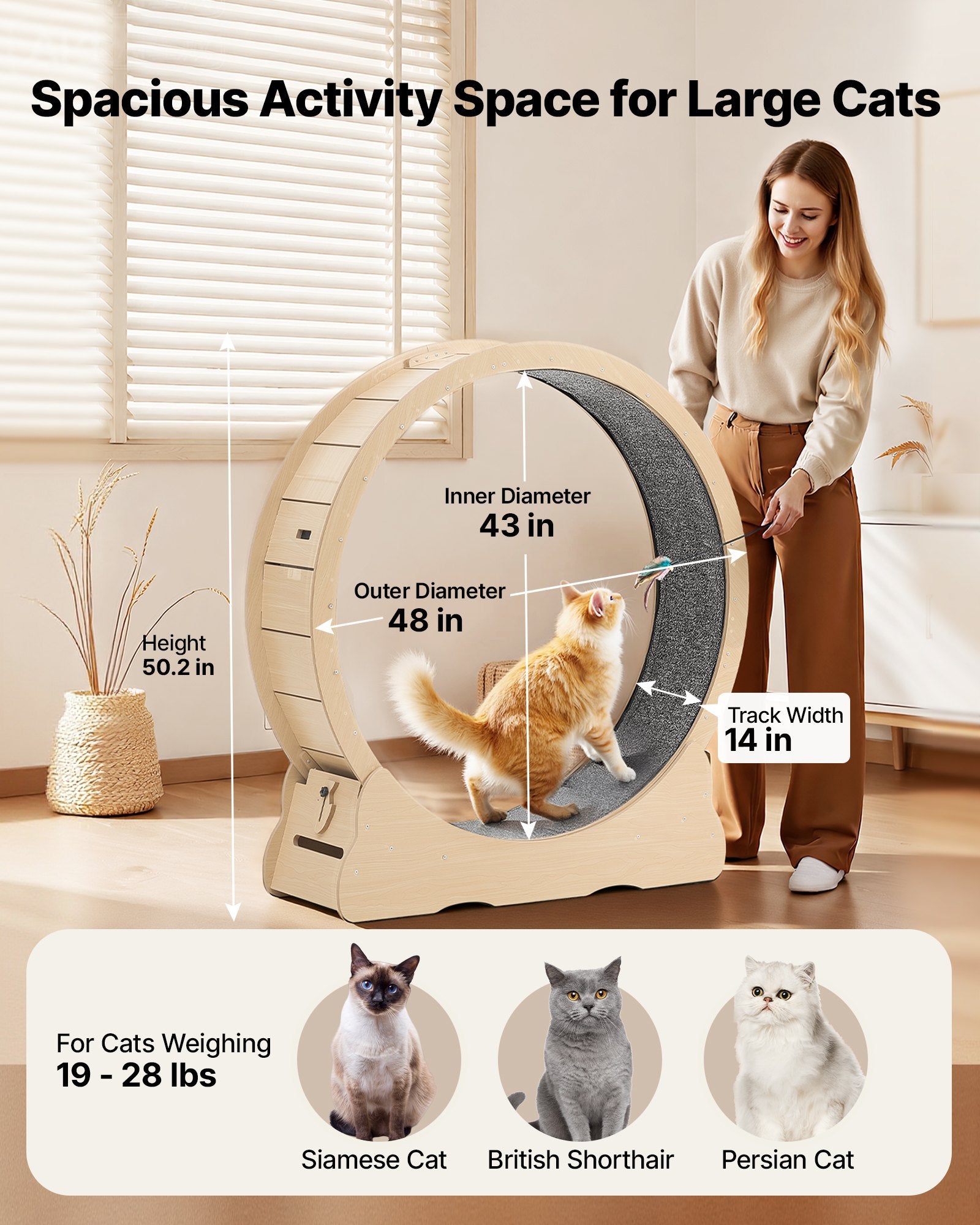 Cat Exercise Wheel, 48 In Wooden Cat Running Wheel For Indoor Cats Up To 28 Lbs by Love My Pet