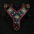 The "Eros" harness black & red by Bestia Dog Gear