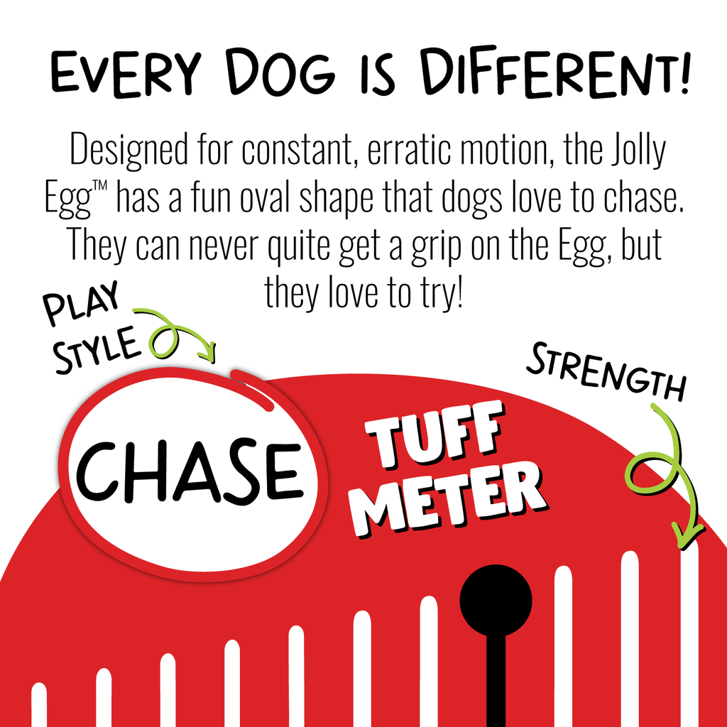 Jolly Egg by Jolly Pets