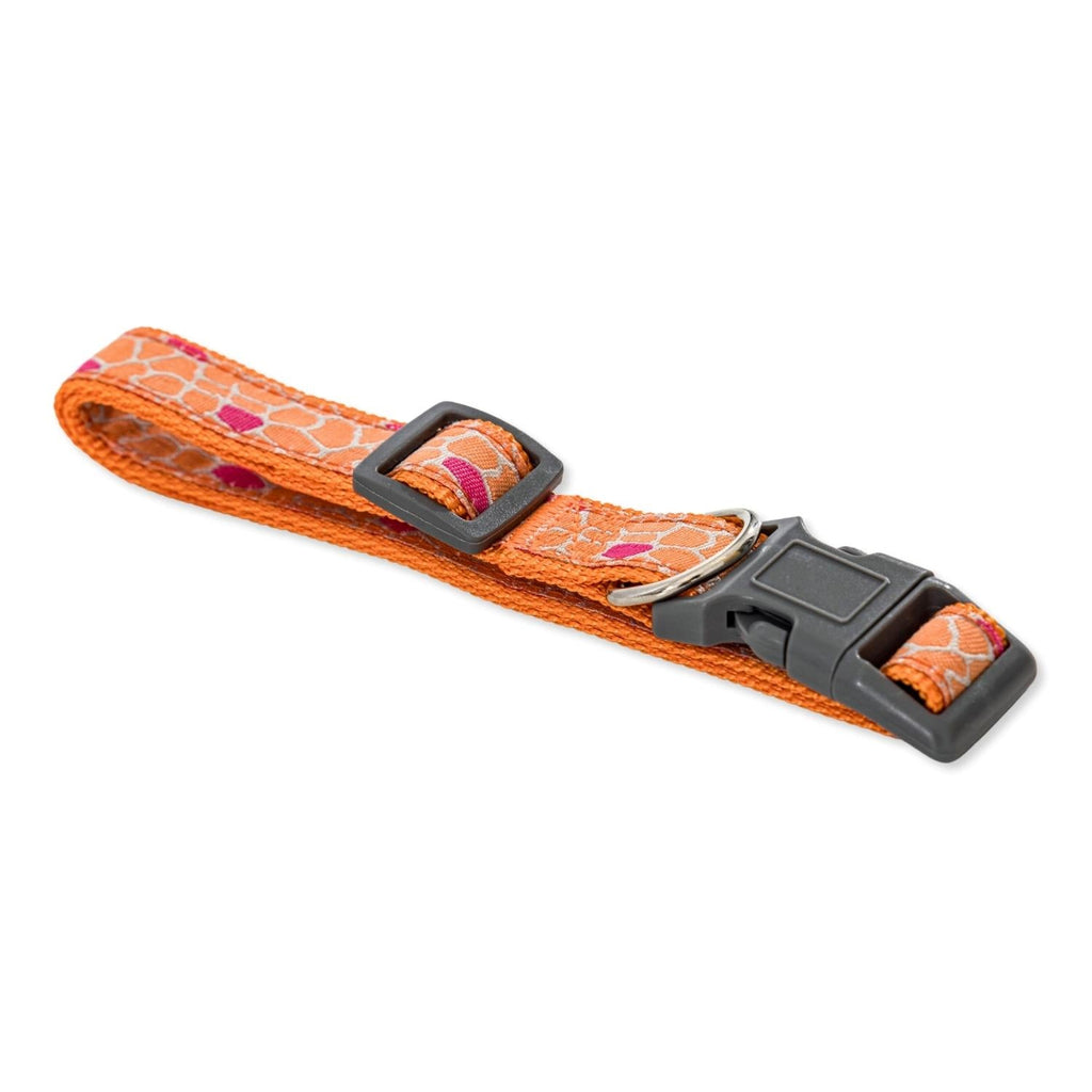 Nylon Dog Collar with Embroidered Giraffe Design/Animal Print, Secure & Adjustable Fit by American Pet Supplies