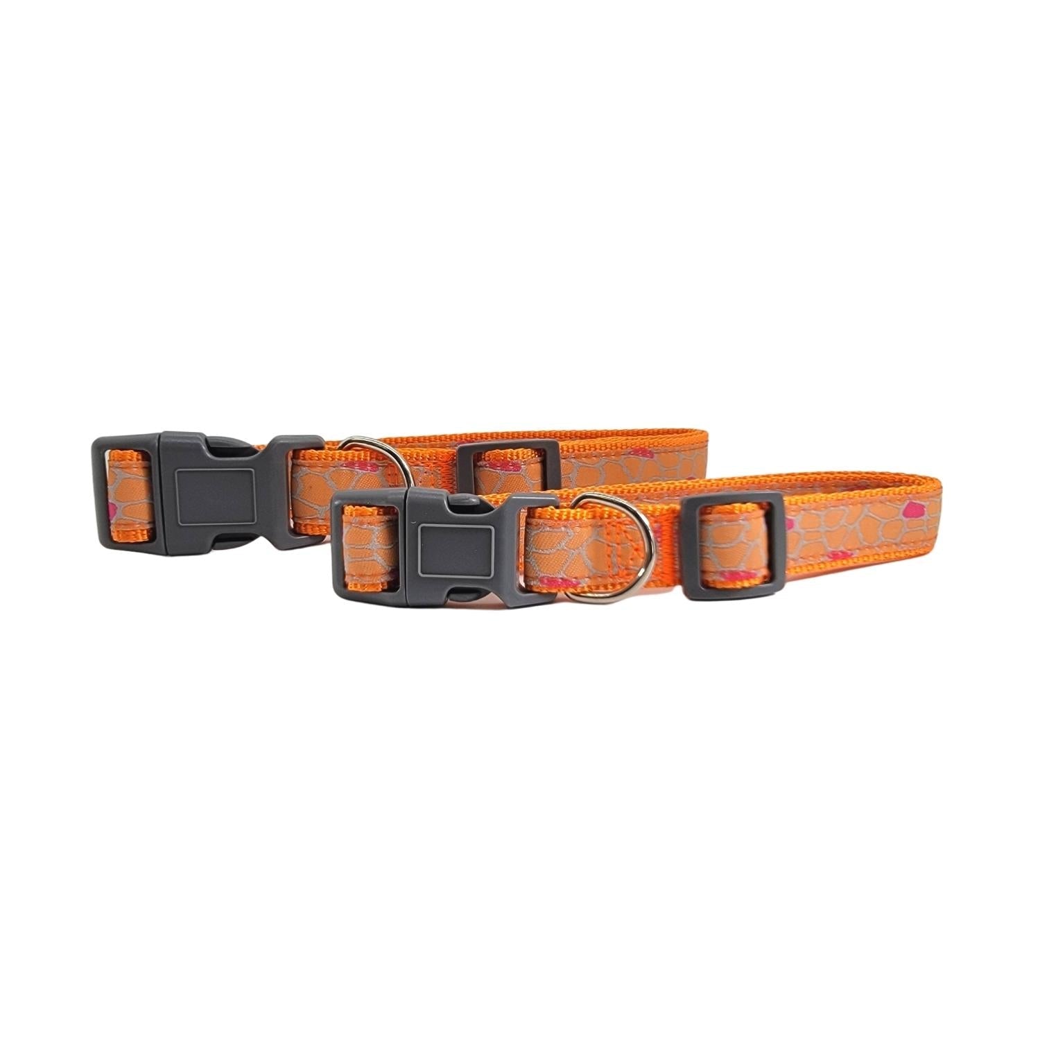 Nylon Dog Collar with Embroidered Giraffe Design/Animal Print, Secure & Adjustable Fit by American Pet Supplies