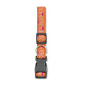 Nylon Dog Collar with Embroidered Giraffe Design/Animal Print, Secure & Adjustable Fit by American Pet Supplies