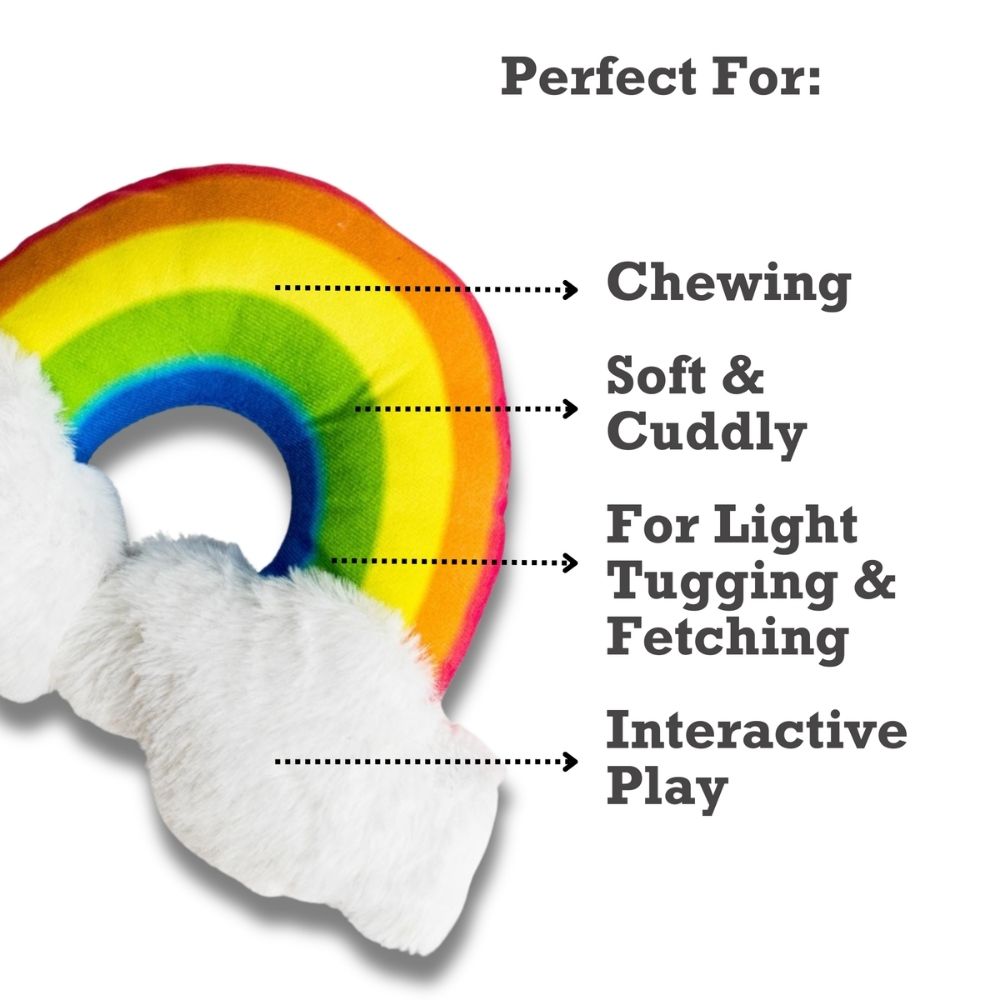 Enchanted Rainbow Magical with Squeaker & Crinkle Paper Plush Dog Toy by American Pet Supplies