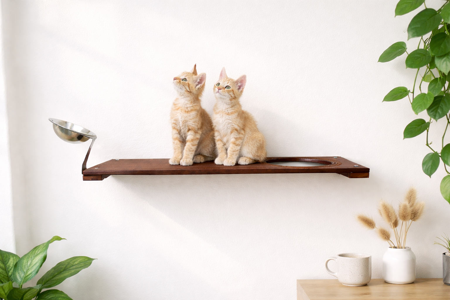 Wall Mounted Cat Feeding Shelf by Catastrophic Creations