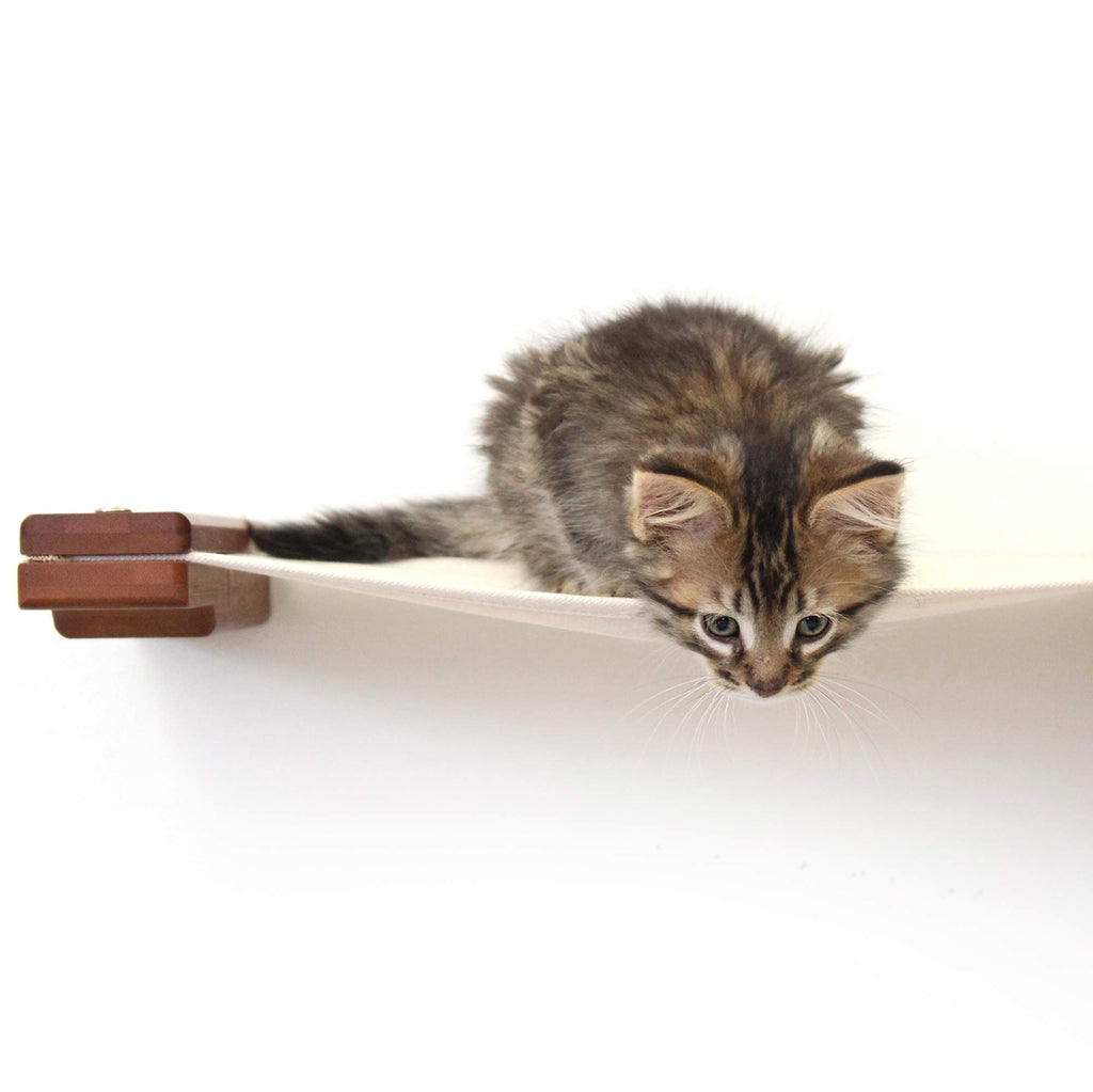 Hanging Cat Bed Hammock by Catastrophic Creations