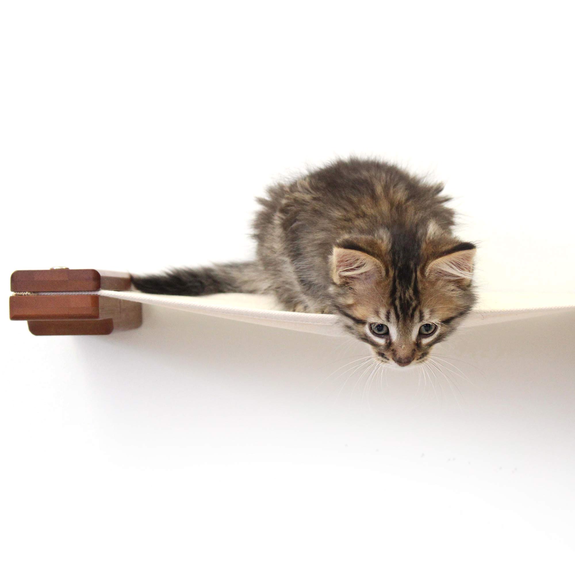Hanging Cat Bed Hammock by Catastrophic Creations
