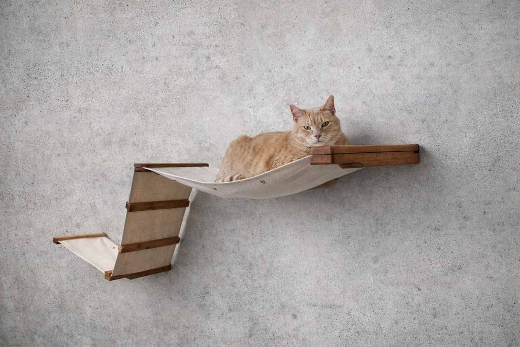 The Raceway - Wall Mounted Cat Hammock by Catastrophic Creations