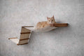 The Raceway - Wall Mounted Cat Hammock by Catastrophic Creations