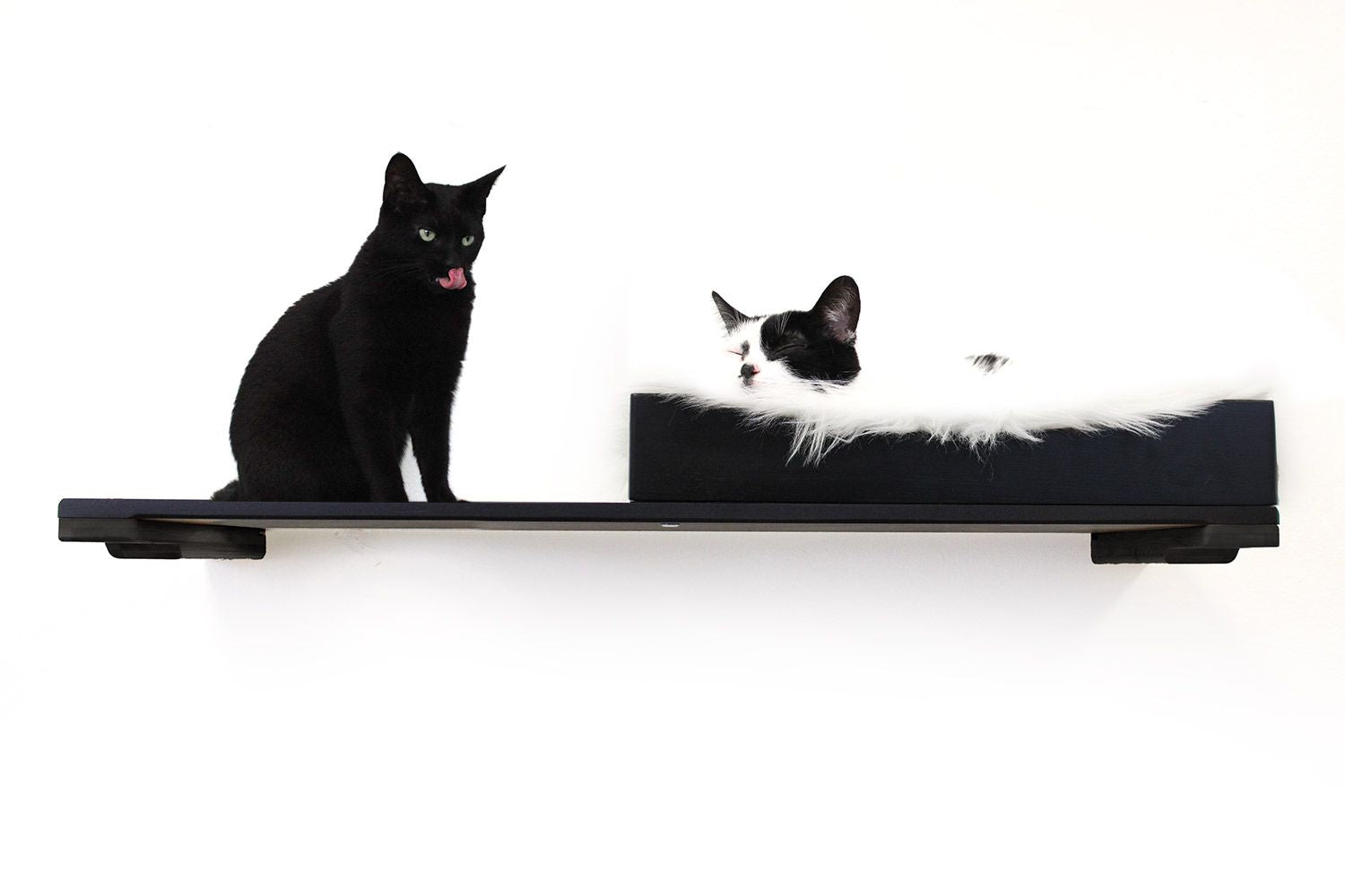 The Cat Nest Bed by Catastrophic Creations