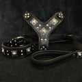 "EROS" BIG dog SET- Harness - collar - lead. All Black by Bestia Dog Gear