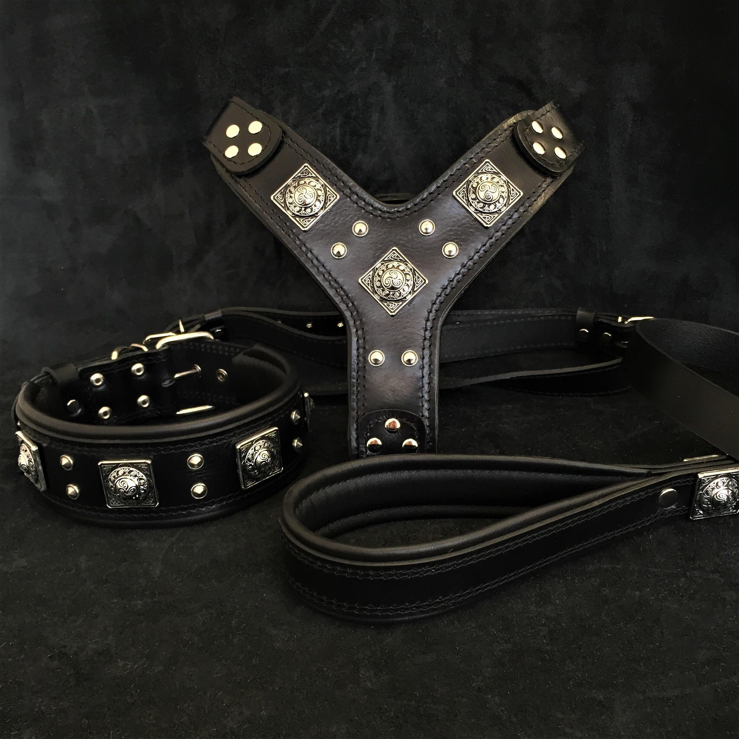 "EROS" BIG dog SET- Harness - collar - lead. All Black by Bestia Dog Gear