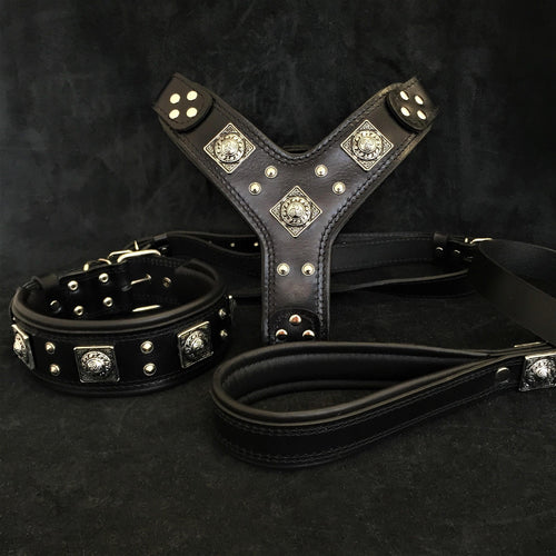"EROS" BIG dog SET- Harness - collar - lead. All Black by Bestia Dog Gear