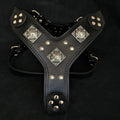 The "Eros" all Black Harness by Bestia Dog Gear