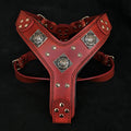 The "Eros" harness RED by Bestia Dog Gear