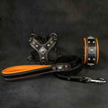 "EROS" Small to Medium dog SET - Harness - collar - lead Black&Orange by Bestia Dog Gear