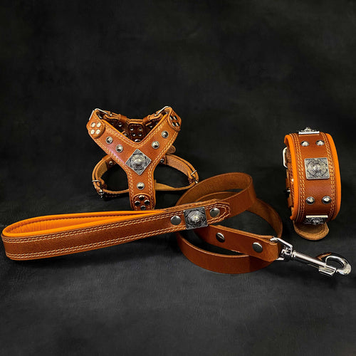 "EROS" Small to Medium dog SET - Harness - collar - lead. Brown by Bestia Dog Gear