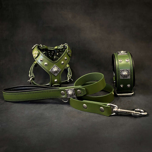 "EROS" Small to Medium dog SET - Harness - collar - lead. Green by Bestia Dog Gear