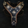 The "Eros" harness Black & Orange by Bestia Dog Gear