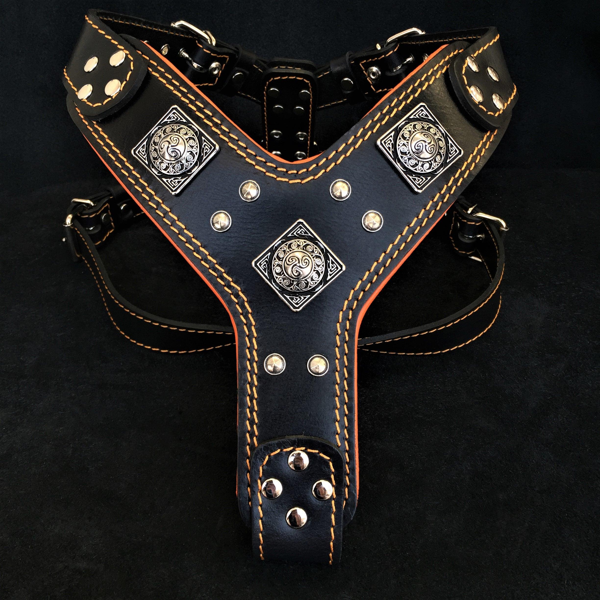 The "Eros" harness Black & Orange by Bestia Dog Gear