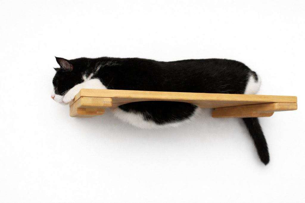 Wall Mounted Cat Shelf by Catastrophic Creations