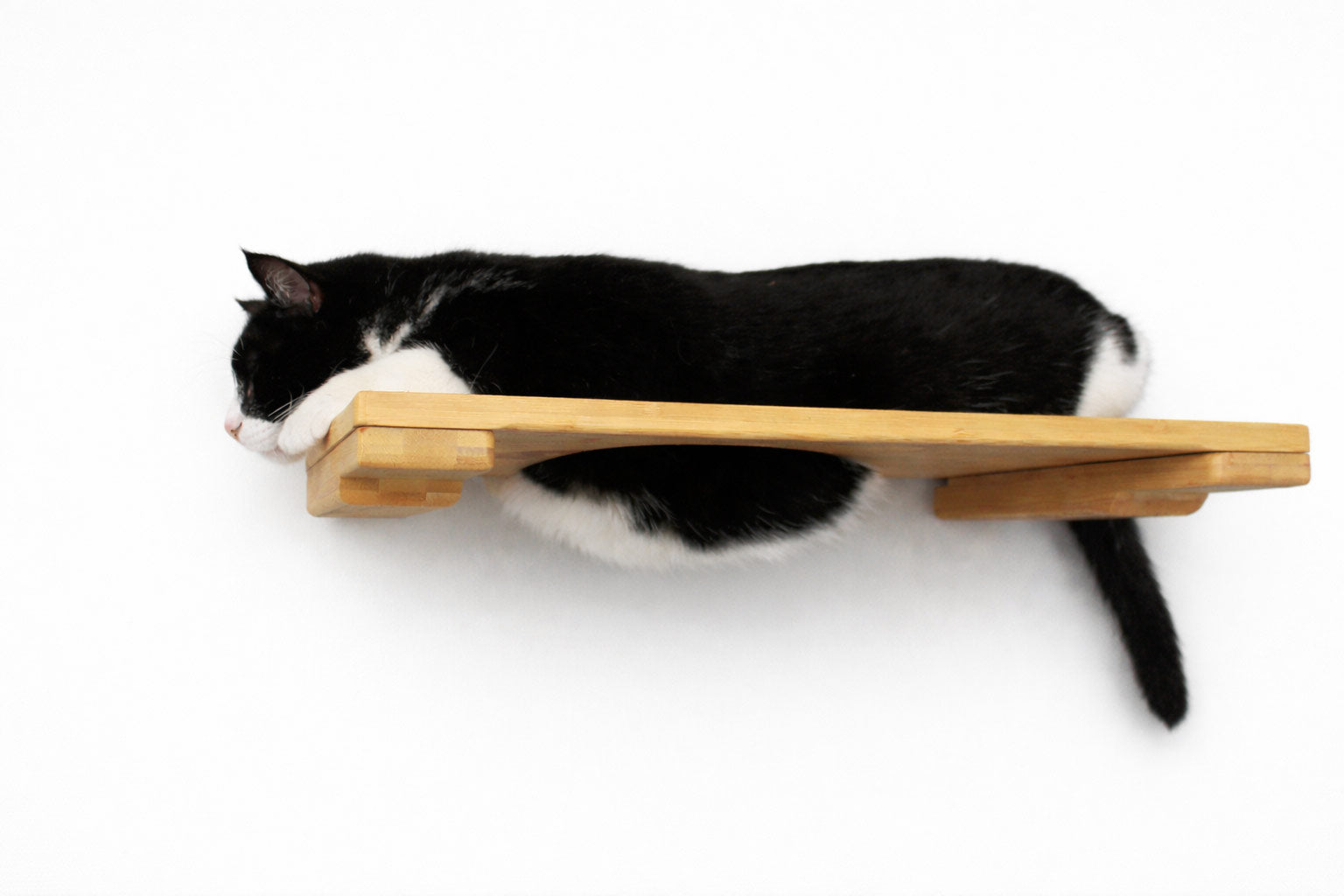 Wall Mounted Cat Shelf by Catastrophic Creations