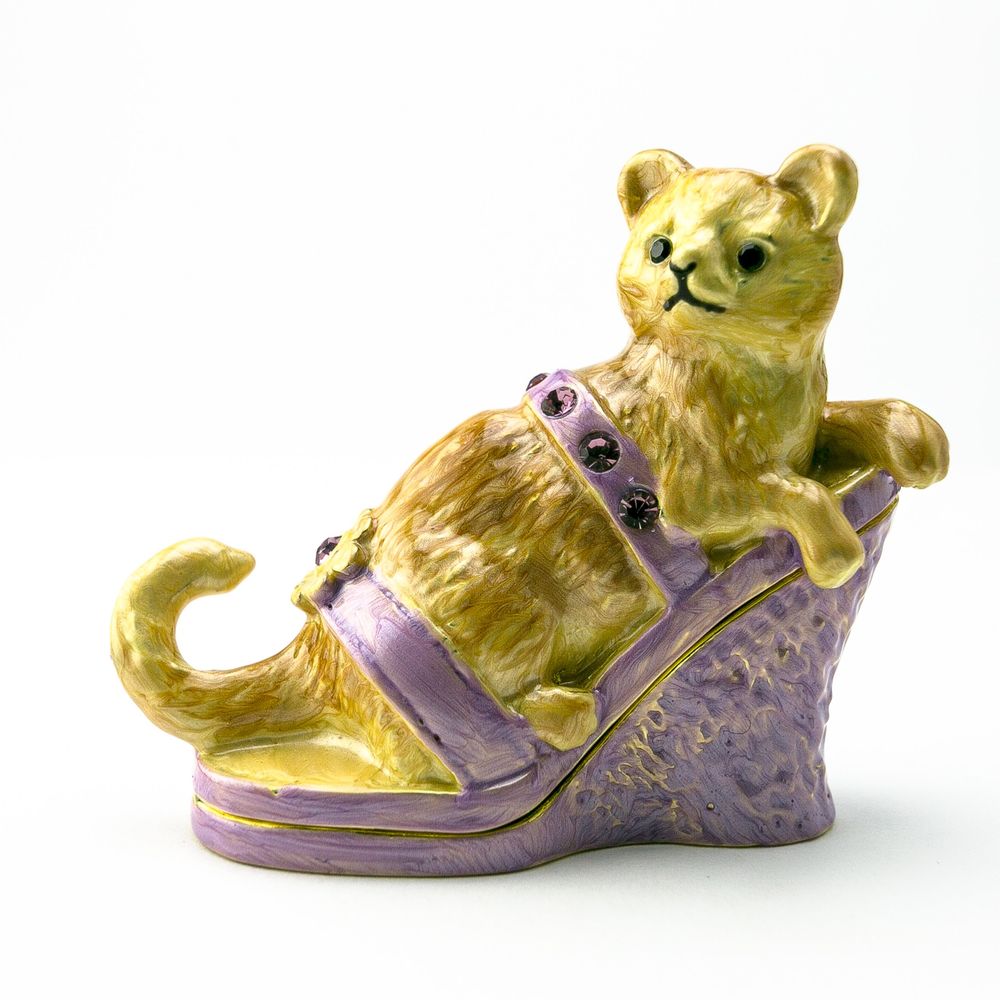 Cat sitting on an Evening Shoe by Furr Baby Gifts