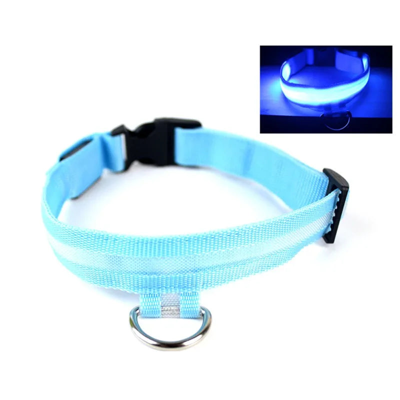 Nylon LED Pet Dog Collar USB Charging by Love My Pet