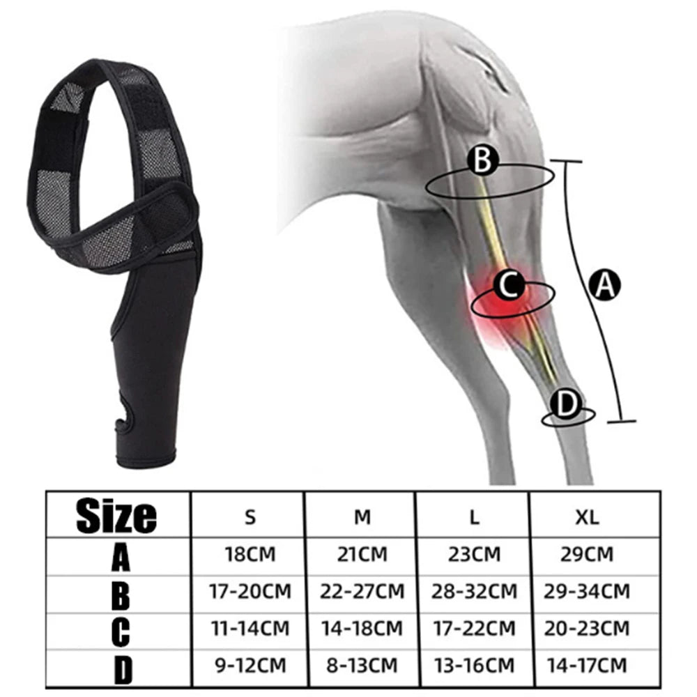 Universal Hip And Knee Brace And Protector For Dogs by Love My Pet