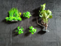 Premium Artificial Aquarium Plant Package for Fish Tank, 20 -40 Gallon Pack 1 by Northeast Aquariums LLC