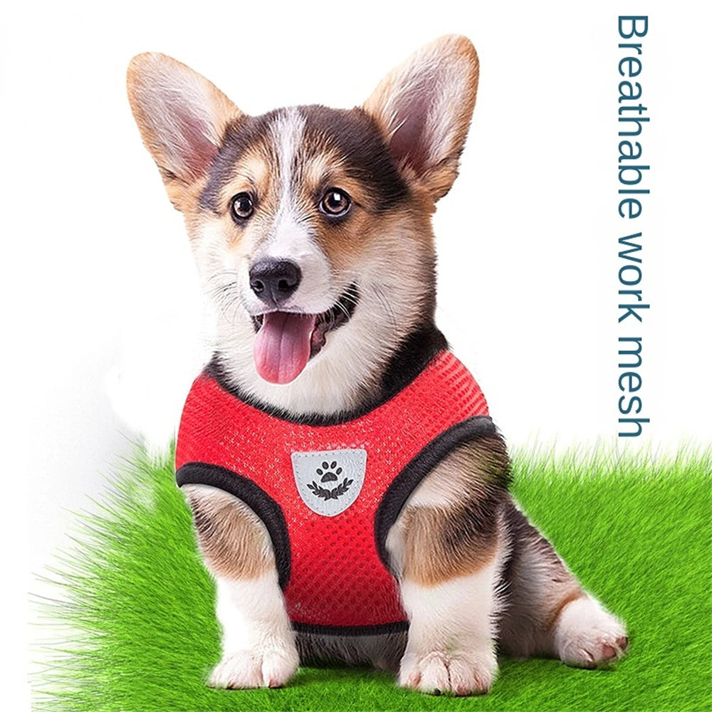 Pet Harness Adjustable Breathable Harnesses, Reflective by Love My Pet