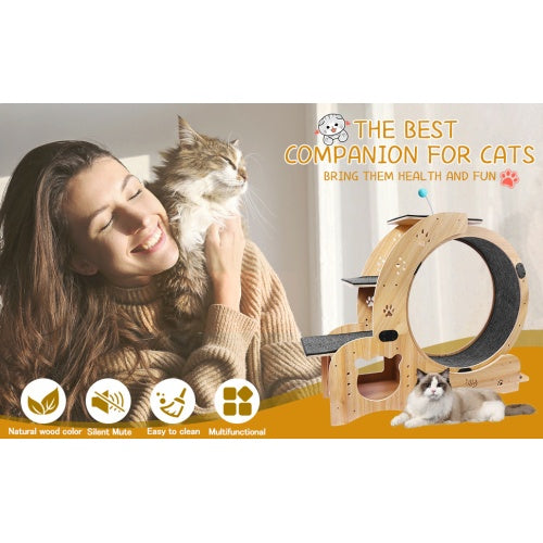 Cat Wheel 6-in-1 Cat Fitness Wheel by Love My Pet