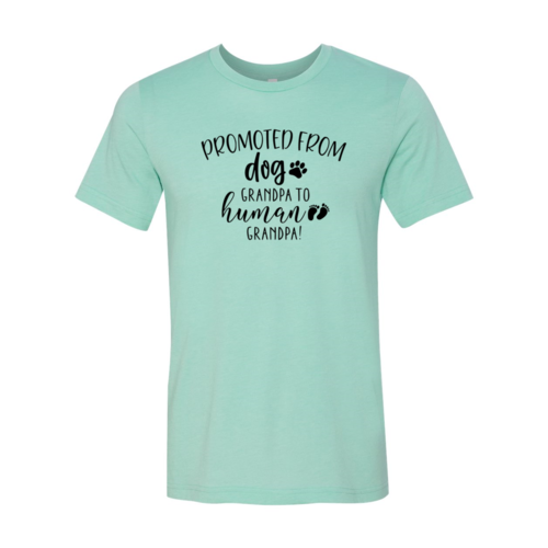 Promoted From Dog Grandpa to Human Grandpa T-Shirt by Furr Baby Gifts