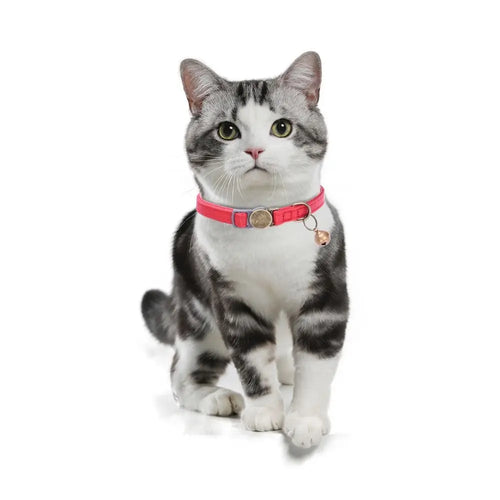 Anti-lost Pet Collars Leather by Love My Pet