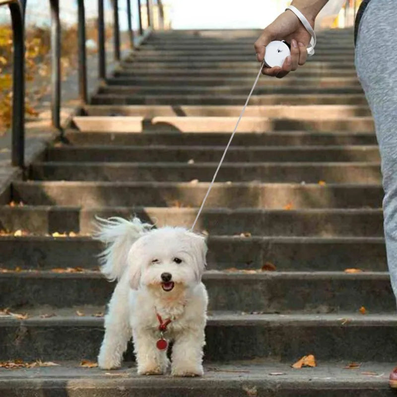 Automatic Retractable Pet Leash by Love My Pet
