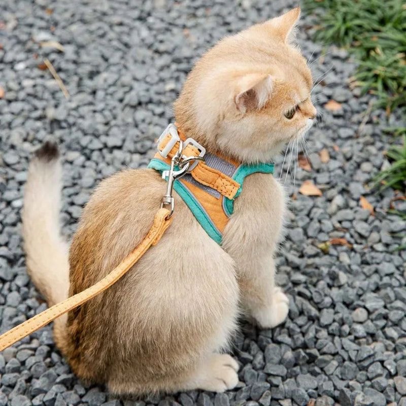 Pet Harness and Leash Set by Love My Pet