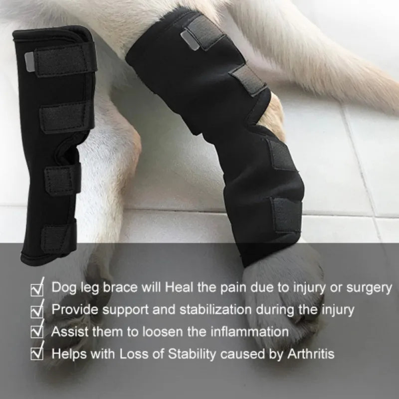 Knee Brace For Dogs, Compression Rear Joint Wrap