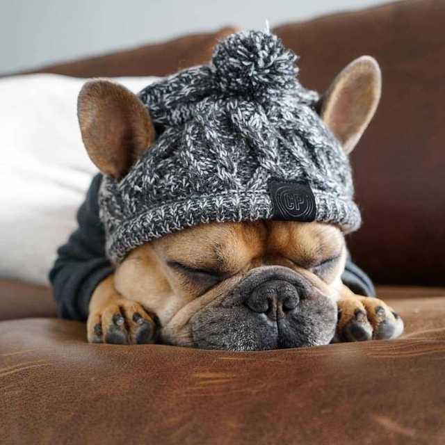 Autumn Winter Warm Knitted Pet Hats With Fluffy Ball by Furr Baby Gifts