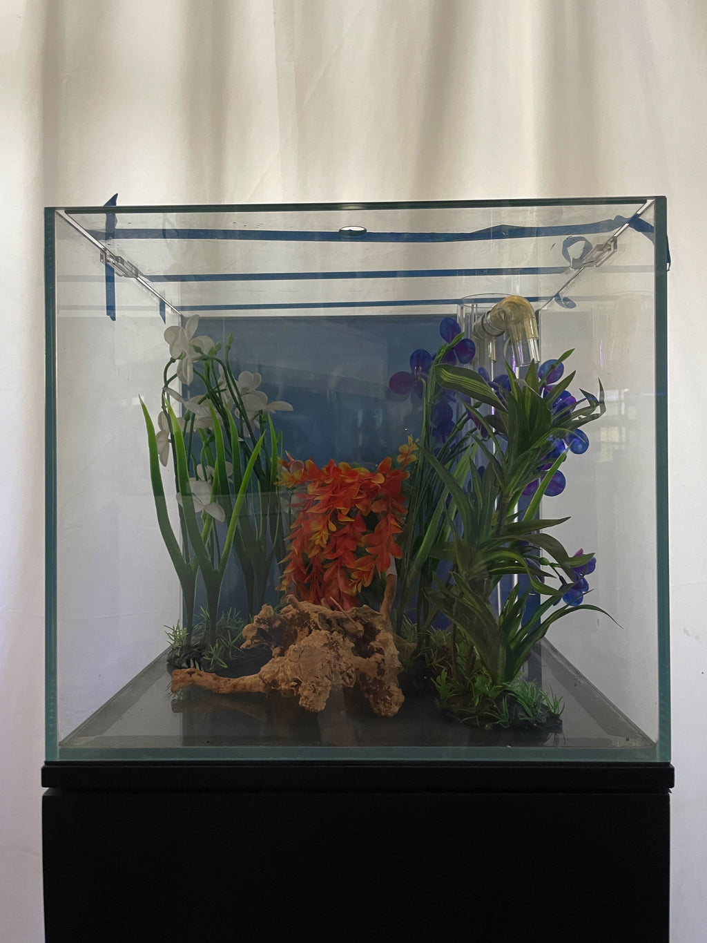 ULTRA CLEAR GLASS - 18 gallon cube fish tank aquarium full setup w/ filtration by Northeast Aquariums LLC