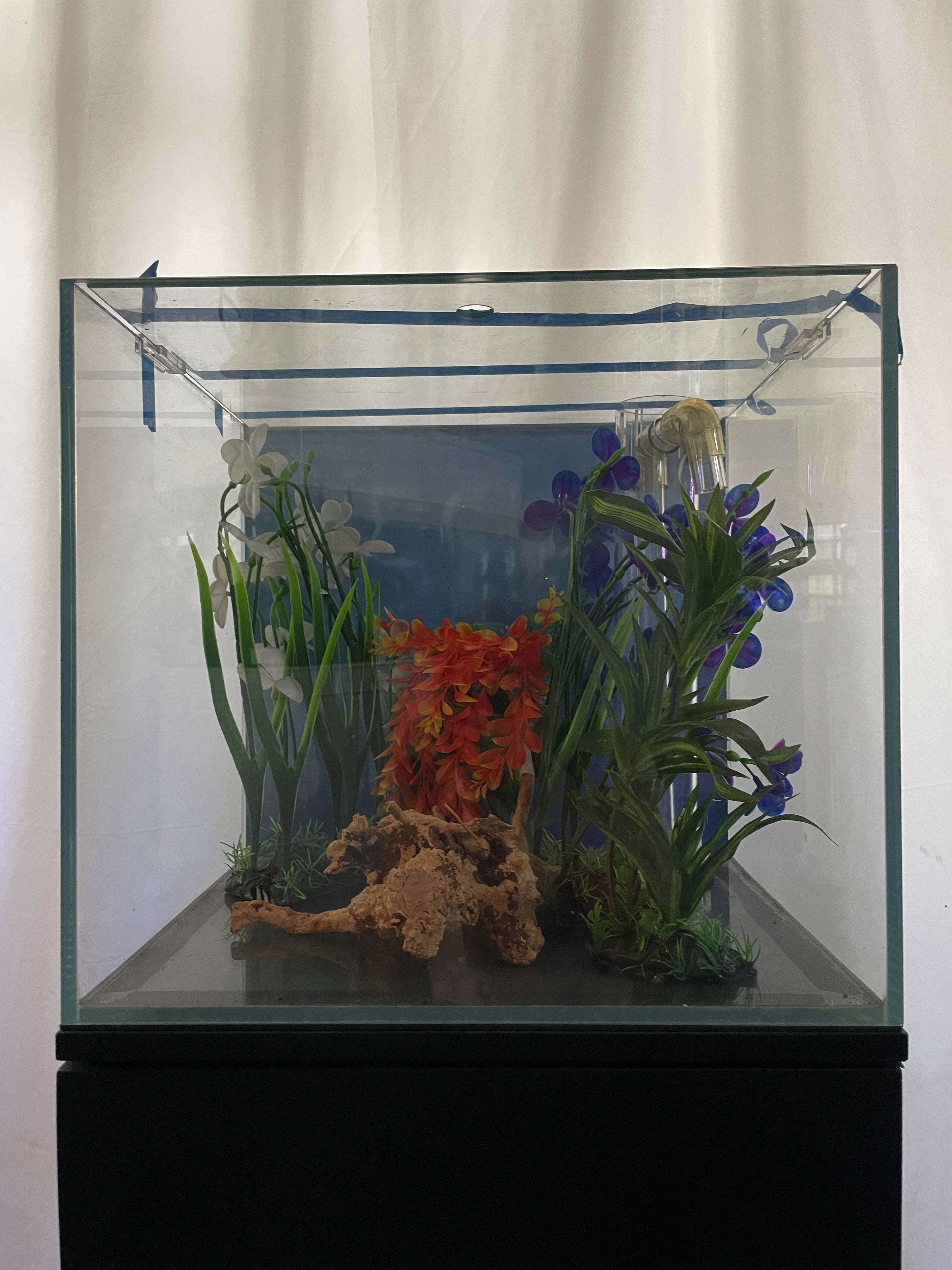 ULTRA CLEAR GLASS - 18 gallon cube fish tank aquarium full setup w/ filtration by Northeast Aquariums LLC