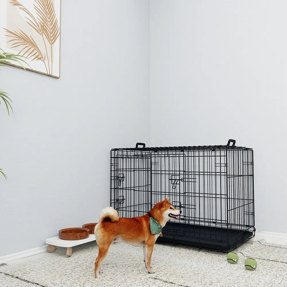 36 Inches Black Wire Dog Cage Double Lock Mechanism Two Doors by Amazing Pet Bargains