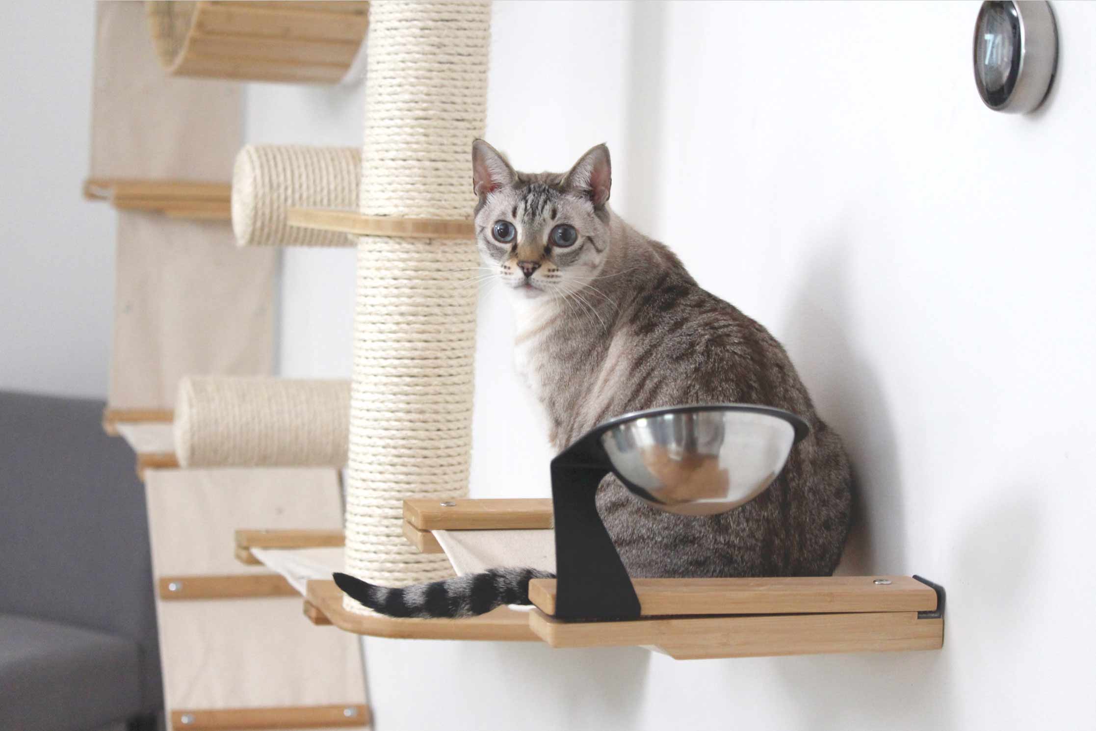 Dog Proof Cat Feeder - Wall-Mounted - Raised by Catastrophic Creations