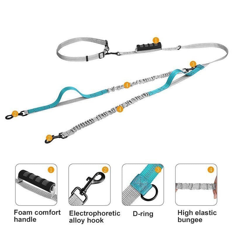 Multifunctional Handsfree Bungee Dog Leash by Furr Baby Gifts