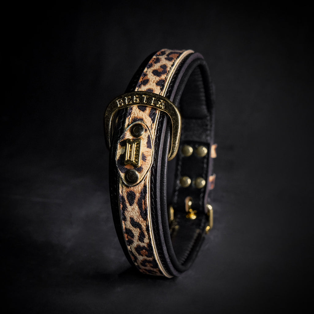 The Leopard Collar by Bestia Dog Gear