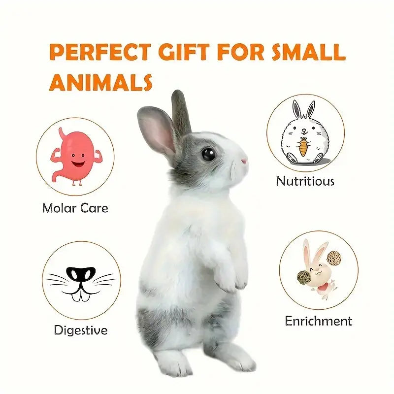 Natural Timothy Hay and Flowers Teething Toys: Suitable For Hamsters, Rabbits, Mice And Other Small Animals by Dahlia Pets